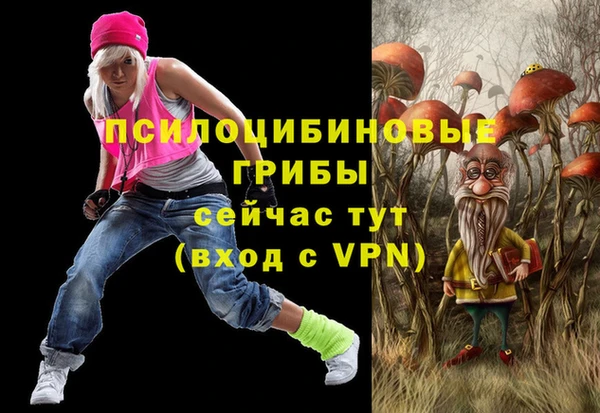 гашик Баксан