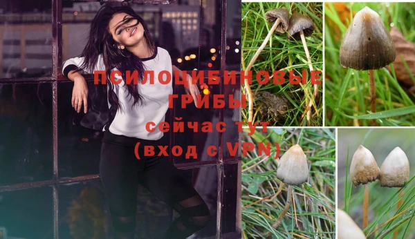 гашик Баксан