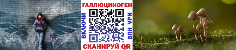 Купить где  Куртамыш  Псилоцибиновые грибы Cubensis 