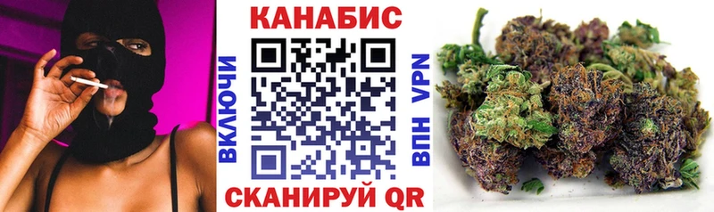Купить где  Куртамыш  Бошки Шишки сатива 